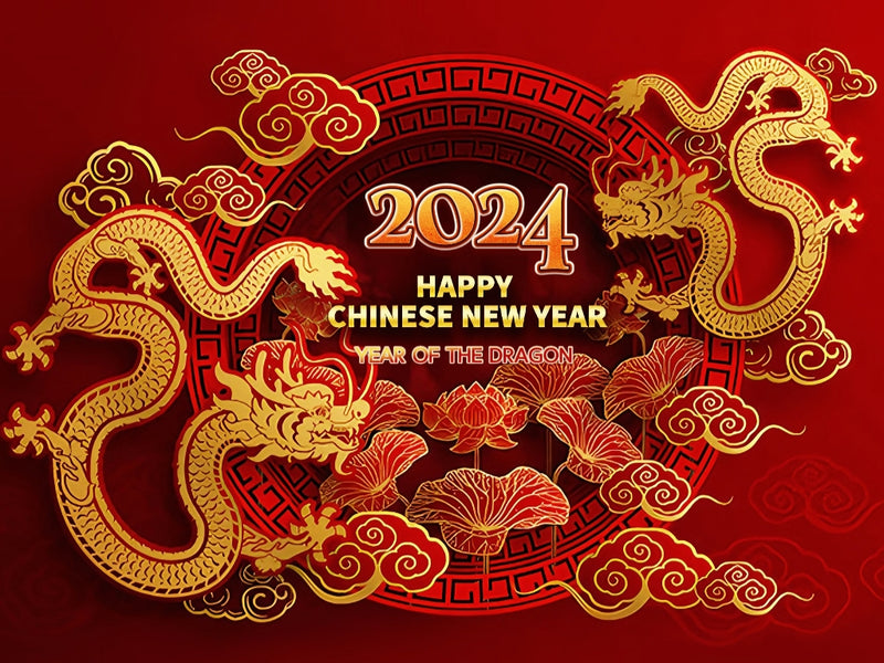 Chinese New Year Holiday Notice | Stirlingkit