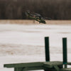 WLTOYS XK 170 Blackhawk UH-60L RC Helicopter With Landing Pad and Display Stand K170 - stirlingkit