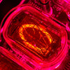 IN12 Nixie Tube Clock Soviet Cyberpunk Digital Display Watch - stirlingkit