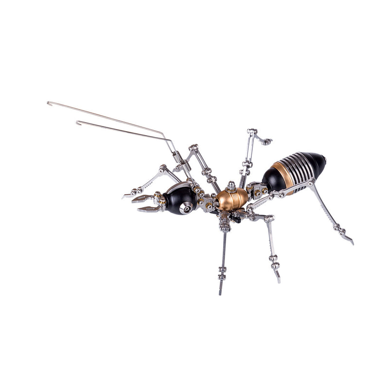 Mechanical Insects Combo: Wasp and Ant Metal Puzzle Kits - stirlingkit