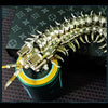 Movable Centipede 3D DIY Metal Assembly Model Building Kits - stirlingkit