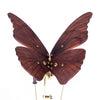 3D Mechanical Geared Walnut Wooden Butterfly Model - stirlingkit