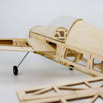 F3A EX330 Electric Balsa Wood Airplane RC Plane Assembly KIT 1000mm Wingspan - stirlingkit