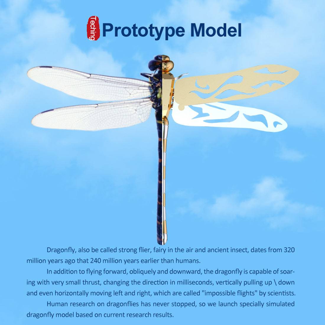 Teching Flying Dragonfly Kinetic Sculpture 3D Metal Model DIY Kits - stirlingkit