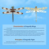 Teching Flying Dragonfly Kinetic Sculpture 3D Metal Model DIY Kits - stirlingkit