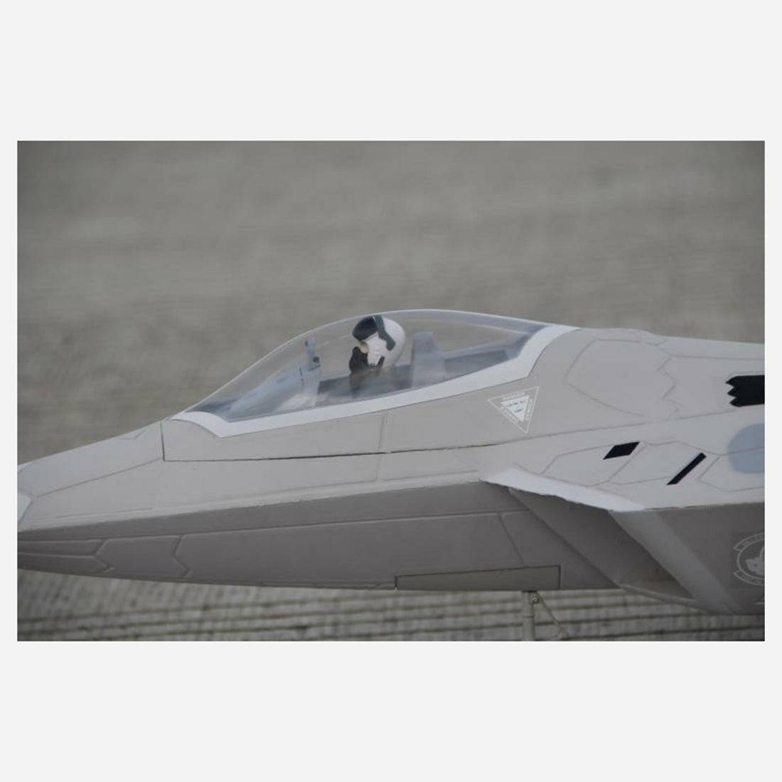 Freewing F-22 Raptor RC 64mm EDF Plane PNP EPO Airplane Model - stirlingkit