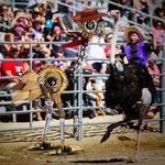 3pcs/Set Steampunk Medieval Emu Turkey  Western Cowboy Ostrich 3D Metal Assembly - stirlingkit