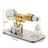 Stirling Engine Kit Single Cylinder Model Toy With Stainless Steel Base Plate Brass - stirlingkit